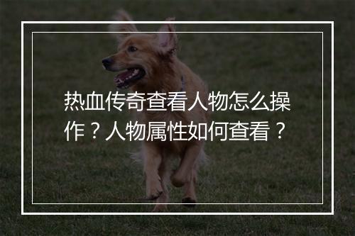 热血传奇查看人物怎么操作？人物属性如何查看？