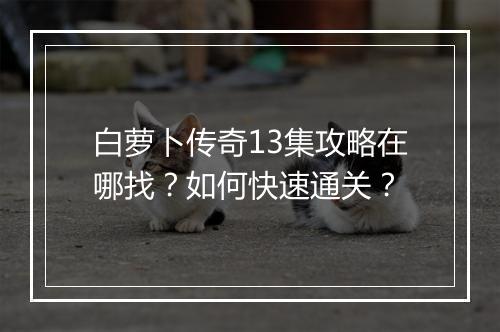 白萝卜传奇13集攻略在哪找？如何快速通关？