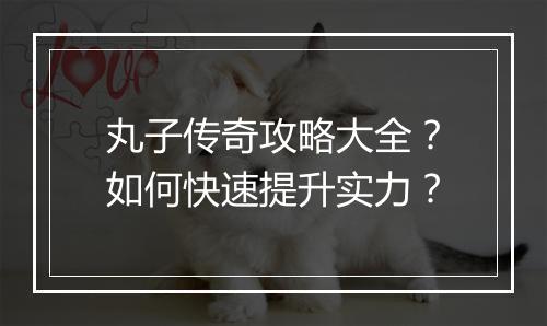 丸子传奇攻略大全？如何快速提升实力？