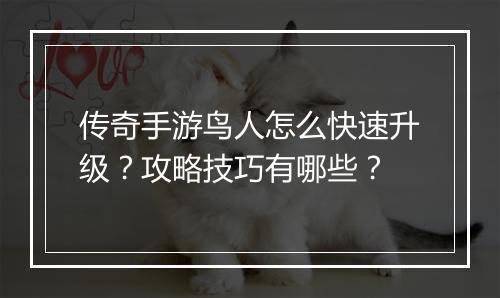 传奇手游鸟人怎么快速升级？攻略技巧有哪些？