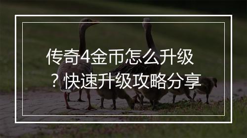 传奇4金币怎么升级？快速升级攻略分享