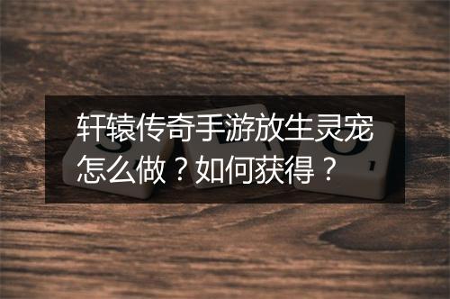 轩辕传奇手游放生灵宠怎么做？如何获得？