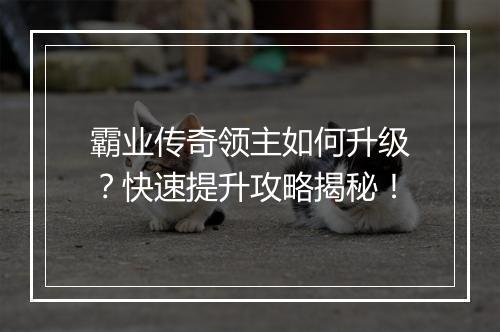 霸业传奇领主如何升级？快速提升攻略揭秘！