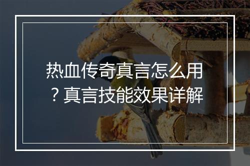 热血传奇真言怎么用？真言技能效果详解