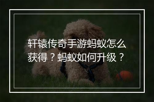 轩辕传奇手游蚂蚁怎么获得？蚂蚁如何升级？