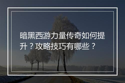 暗黑西游力量传奇如何提升？攻略技巧有哪些？