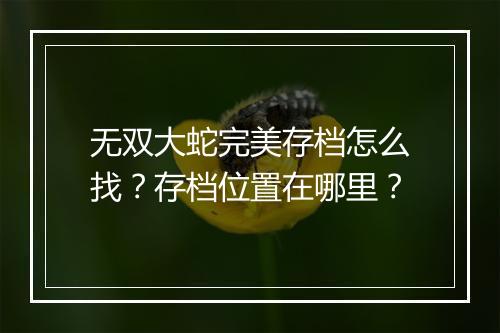 无双大蛇完美存档怎么找？存档位置在哪里？