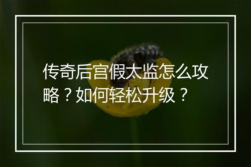 传奇后宫假太监怎么攻略？如何轻松升级？