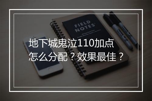 地下城鬼泣110加点怎么分配？效果最佳？