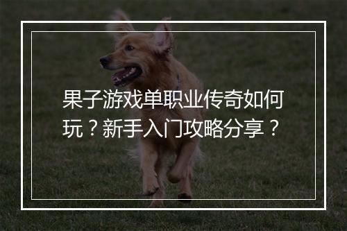 果子游戏单职业传奇如何玩？新手入门攻略分享？