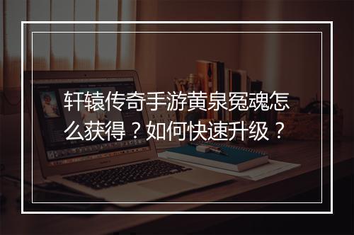 轩辕传奇手游黄泉冤魂怎么获得？如何快速升级？