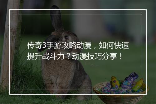 传奇3手游攻略动漫，如何快速提升战斗力？动漫技巧分享！