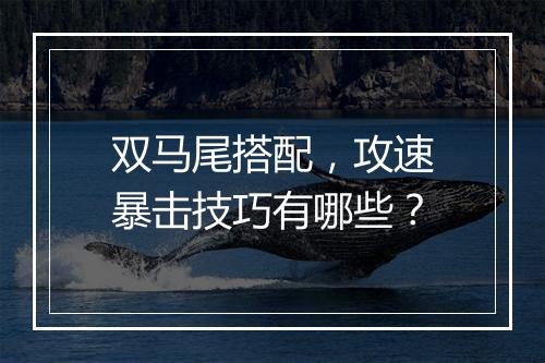 双马尾搭配，攻速暴击技巧有哪些？