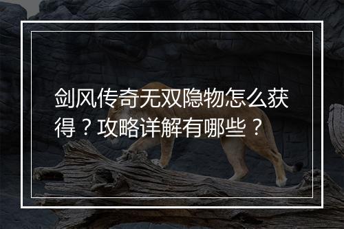 剑风传奇无双隐物怎么获得？攻略详解有哪些？