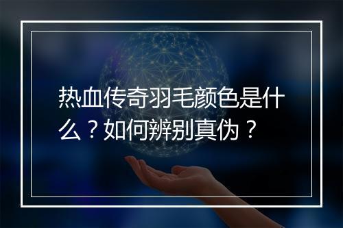 热血传奇羽毛颜色是什么？如何辨别真伪？