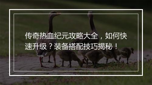 传奇热血纪元攻略大全，如何快速升级？装备搭配技巧揭秘！