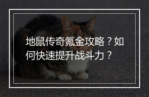 地鼠传奇氪金攻略？如何快速提升战斗力？