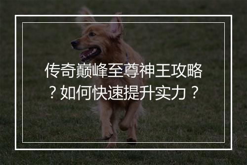 传奇巅峰至尊神王攻略？如何快速提升实力？
