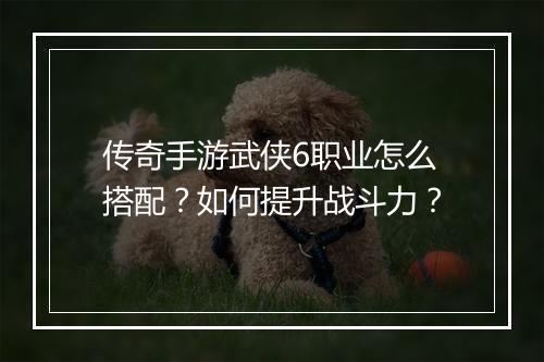 传奇手游武侠6职业怎么搭配？如何提升战斗力？