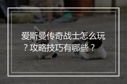 爱斯曼传奇战士怎么玩？攻略技巧有哪些？