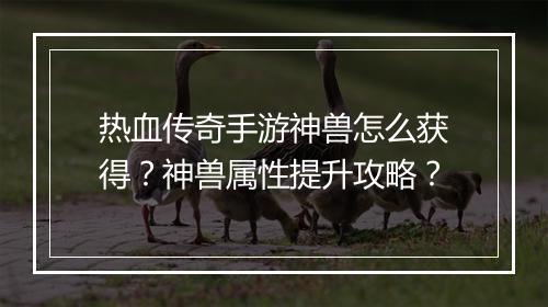 热血传奇手游神兽怎么获得？神兽属性提升攻略？