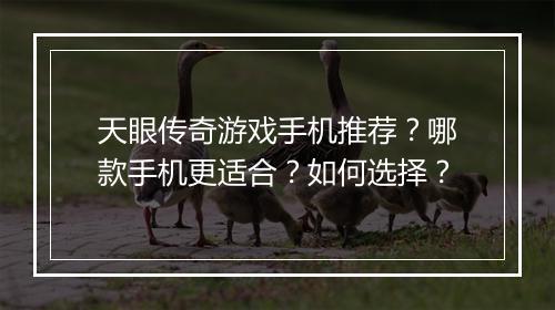 天眼传奇游戏手机推荐？哪款手机更适合？如何选择？