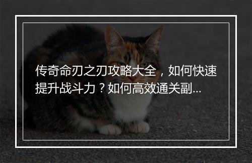 传奇命刃之刃攻略大全，如何快速提升战斗力？如何高效通关副本？