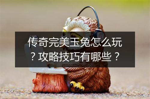 传奇完美玉兔怎么玩？攻略技巧有哪些？