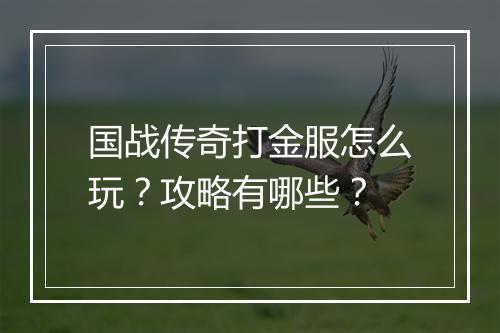 国战传奇打金服怎么玩？攻略有哪些？