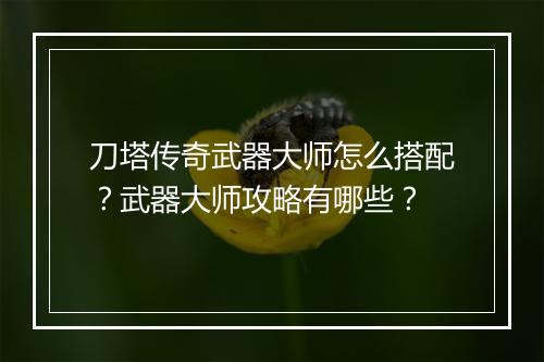 刀塔传奇武器大师怎么搭配？武器大师攻略有哪些？