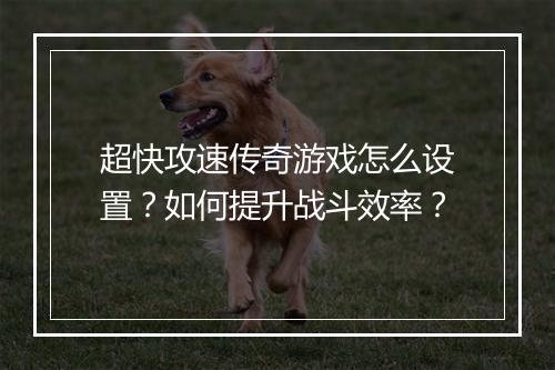 超快攻速传奇游戏怎么设置？如何提升战斗效率？