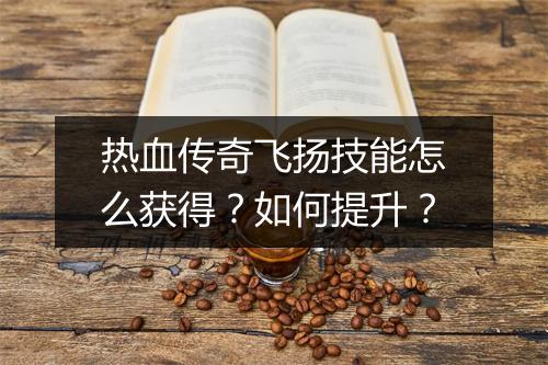 热血传奇飞扬技能怎么获得？如何提升？