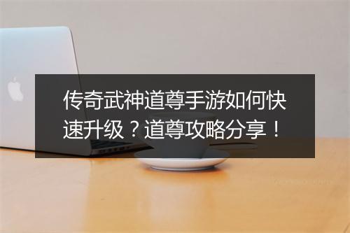 传奇武神道尊手游如何快速升级？道尊攻略分享！