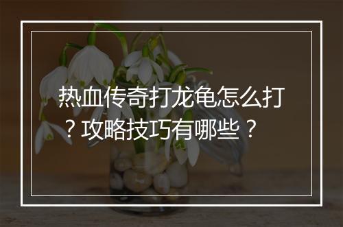 热血传奇打龙龟怎么打？攻略技巧有哪些？