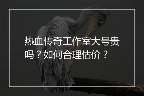 热血传奇工作室大号贵吗？如何合理估价？