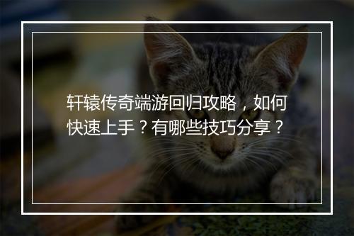 轩辕传奇端游回归攻略，如何快速上手？有哪些技巧分享？