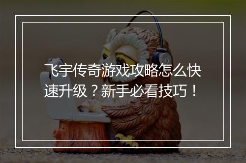 飞宇传奇游戏攻略怎么快速升级？新手必看技巧！