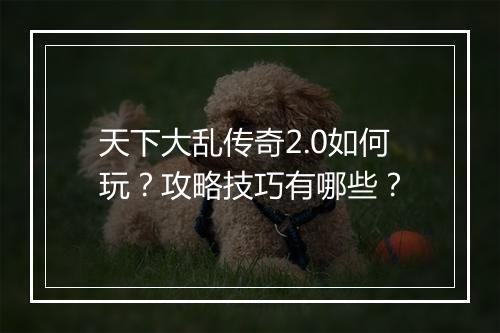 天下大乱传奇2.0如何玩？攻略技巧有哪些？