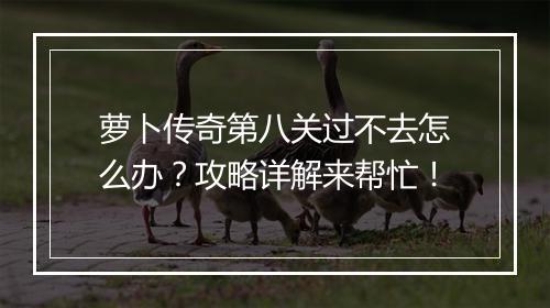 萝卜传奇第八关过不去怎么办？攻略详解来帮忙！