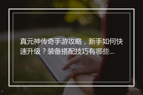 真元神传奇手游攻略，新手如何快速升级？装备搭配技巧有哪些？