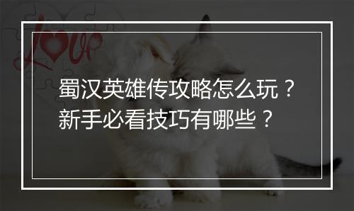 蜀汉英雄传攻略怎么玩？新手必看技巧有哪些？