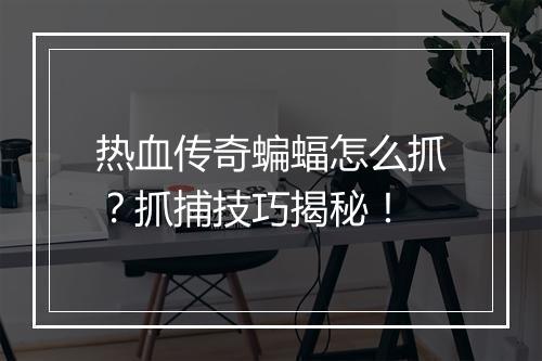 热血传奇蝙蝠怎么抓？抓捕技巧揭秘！