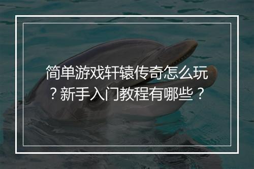 简单游戏轩辕传奇怎么玩？新手入门教程有哪些？