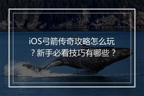 iOS弓箭传奇攻略怎么玩？新手必看技巧有哪些？