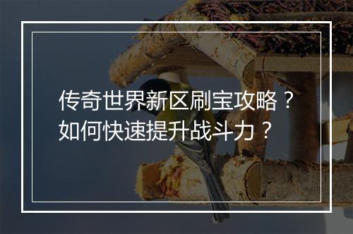 传奇世界新区刷宝攻略？如何快速提升战斗力？