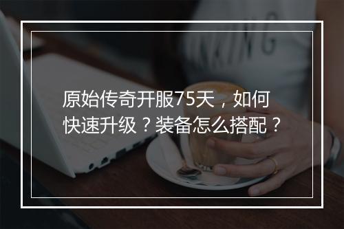 原始传奇开服75天，如何快速升级？装备怎么搭配？