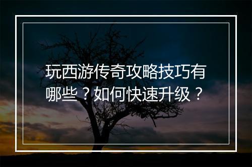 玩西游传奇攻略技巧有哪些？如何快速升级？