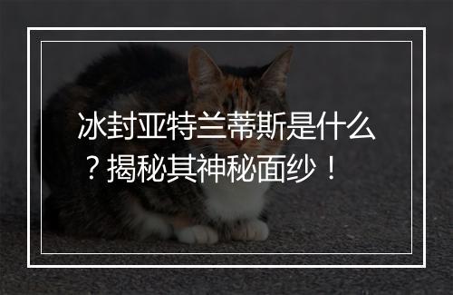 冰封亚特兰蒂斯是什么？揭秘其神秘面纱！