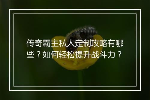传奇霸主私人定制攻略有哪些？如何轻松提升战斗力？