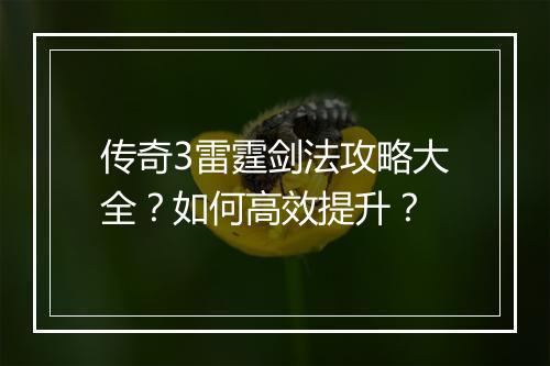 传奇3雷霆剑法攻略大全？如何高效提升？
